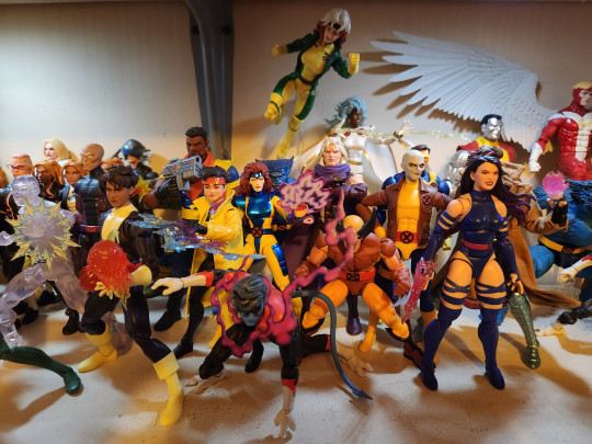 Display by Toylove1973