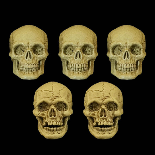 Exclusive Bag of Skulls