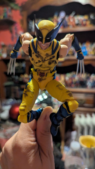 Display by Loganxdanstoys