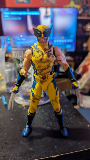 Display by Loganxdanstoys