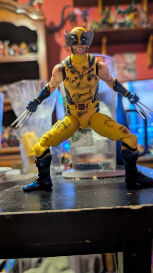 Display by Loganxdanstoys