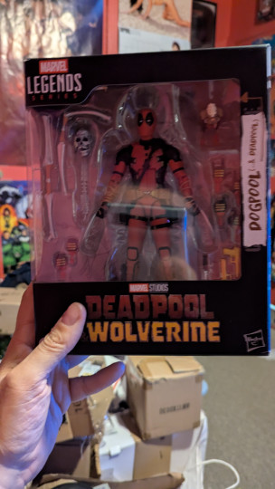 Display by Loganxdanstoys