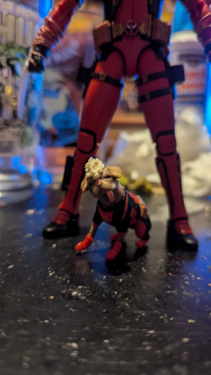 Display by Loganxdanstoys