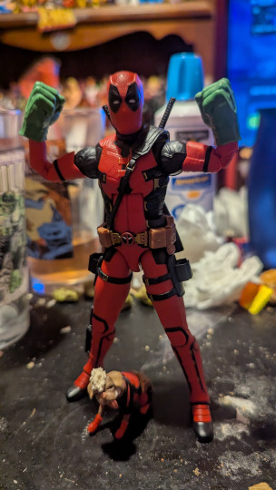 Display by Loganxdanstoys