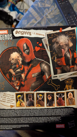Display by Loganxdanstoys