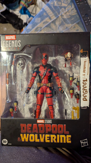 Display by Loganxdanstoys