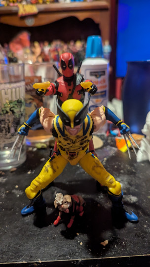 Display by Loganxdanstoys