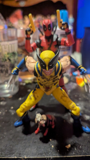 Display by Loganxdanstoys