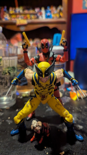 Display by Loganxdanstoys
