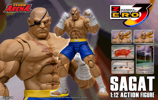 Display by Dondon: Sagat - Street Fighter Alpha 3 "Storm Arena" 1/12 Scale