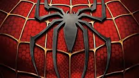 Spiders