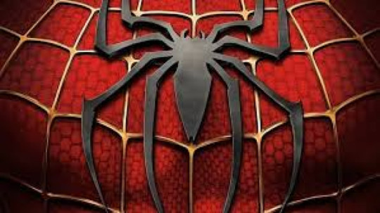 Spiders