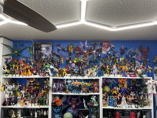 Display by Dragon of the Moon