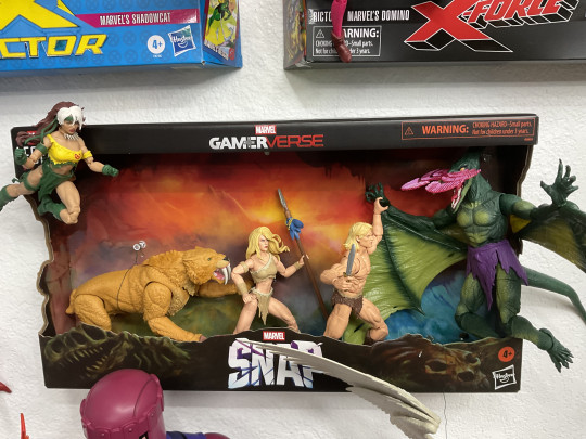 Display by Dragon of the Moon