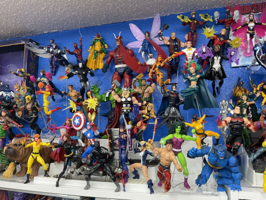 Display by Dragon of the Moon