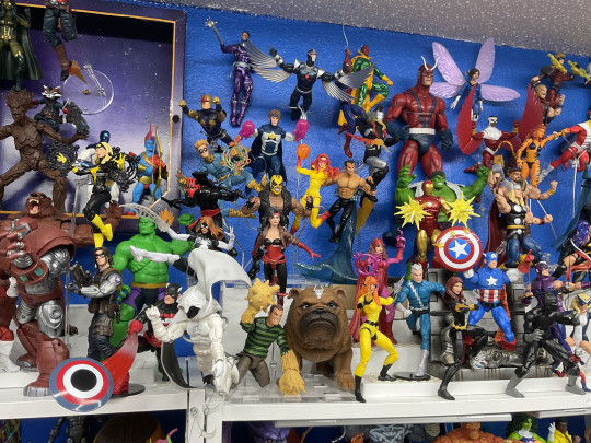 Display by Dragon of the Moon
