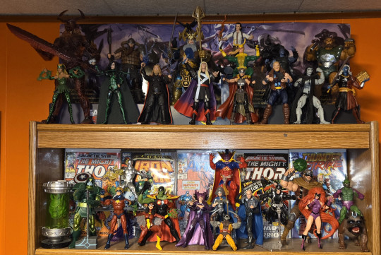 Display by Rogers