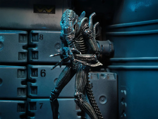 Aliens Warrior (Blue)