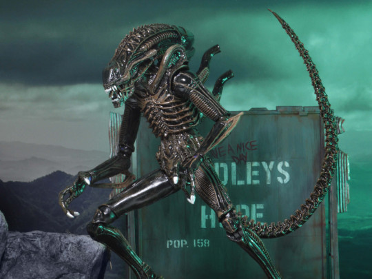 Warrior Alien