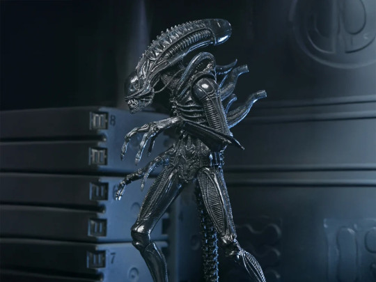 Aliens 40th Anniversary Warrior Xenomorph