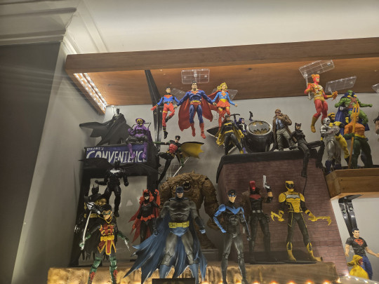 Display by Raleighy
