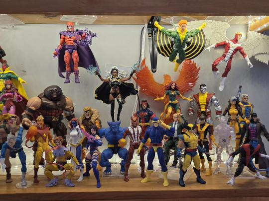 Display by Raleighy