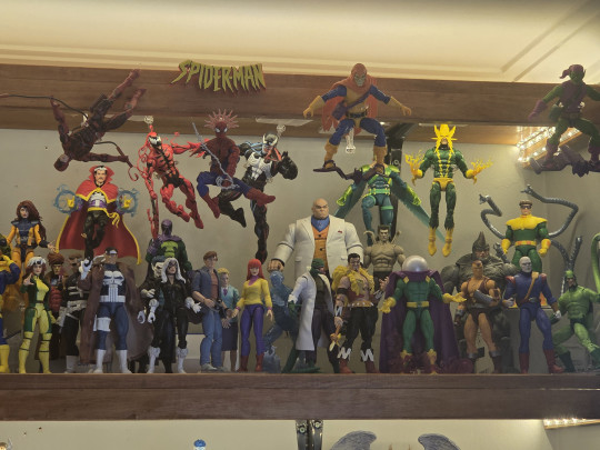 Display by Raleighy