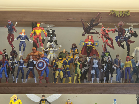 Display by Raleighy