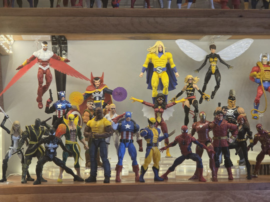 Display by Raleighy