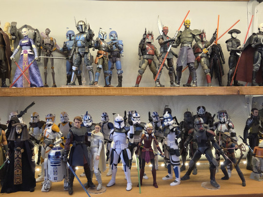 Display by Raleighy