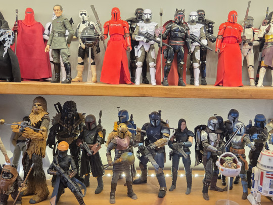 Display by Raleighy