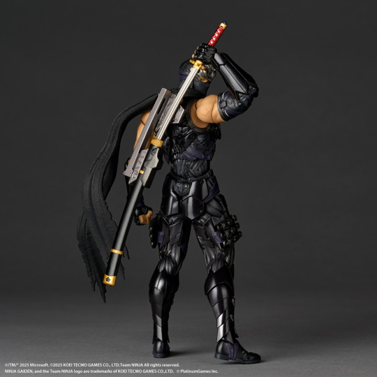 Ryu Hayabusa Ninja Gaiden 4 Ver.