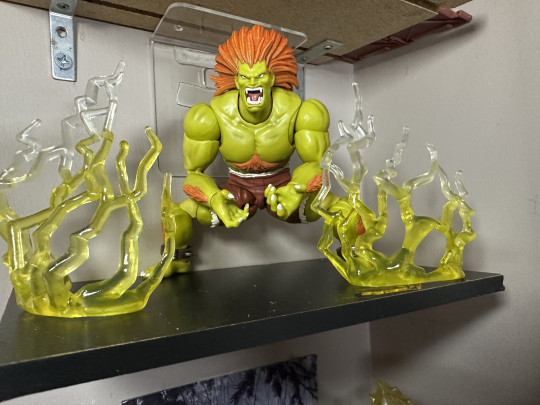 Display by MoClectic