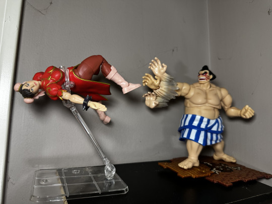 Display by MoClectic