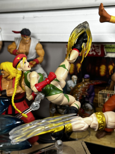 Display by MoClectic