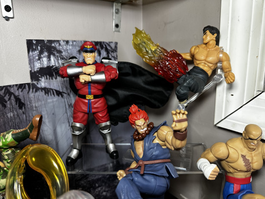 Display by MoClectic
