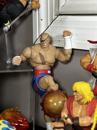 Display by MoClectic