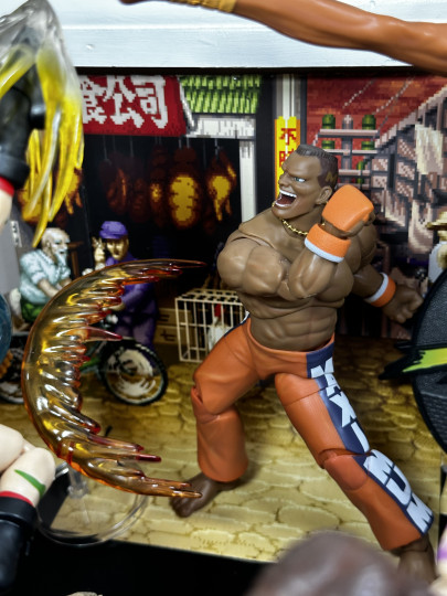 Display by MoClectic