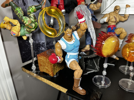 Display by MoClectic