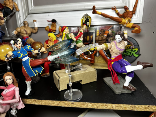 Display by MoClectic
