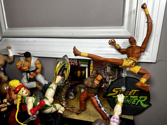 Display by MoClectic