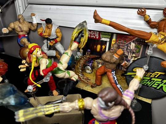 Display by MoClectic