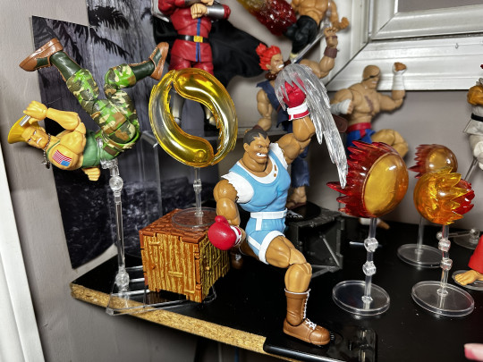 Display by MoClectic