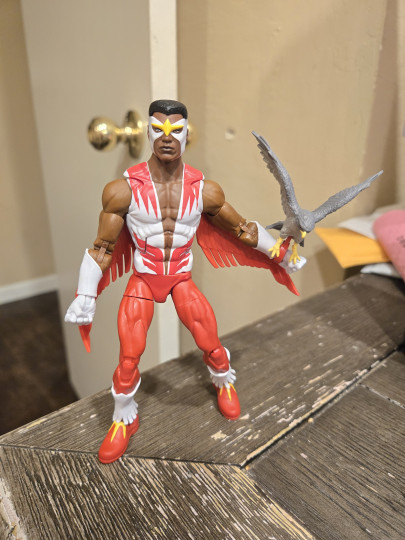 Falcon