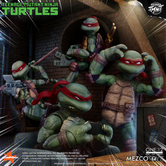 Teenage Mutant Ninja Turtles Boxed Set