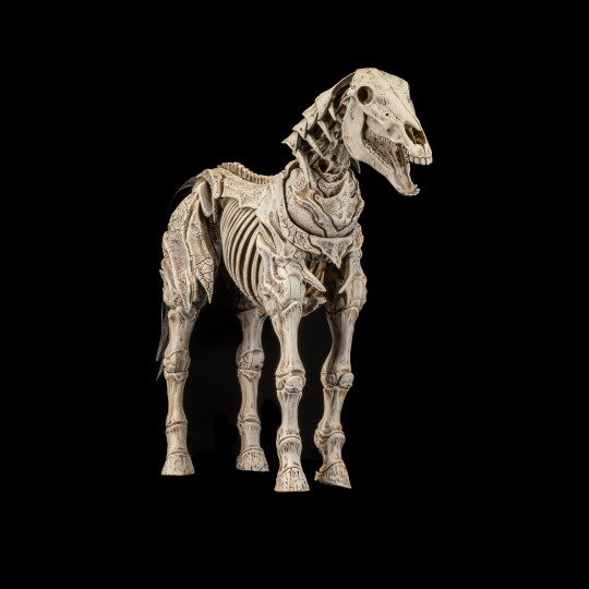 Skeleton Steed Legion Builder