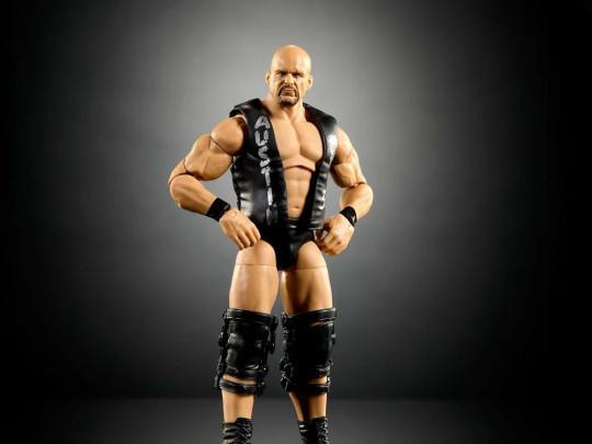 SummerSlam Stone Cold Steve Austin