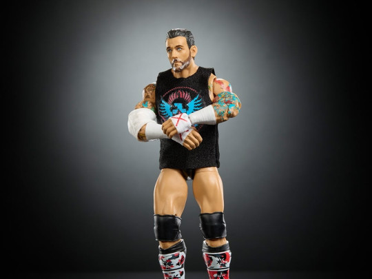 Top Picks 2025 CM Punk
