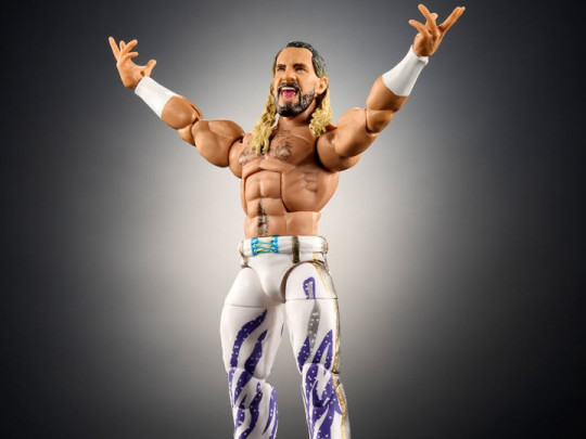 Series 117 Seth Rollins