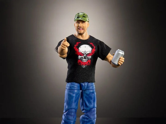 Top Picks 2025 Stone Cold Steve Austin